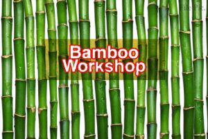 Workshop on Bamboo cultivation to be held in Jammu
