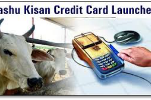1st Pashu Kisan Credit Cards of India, distributed in Bhiwani, Haryana