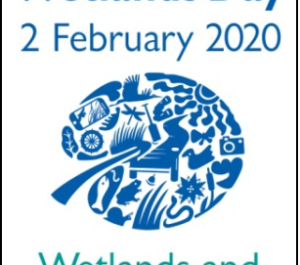 World Wetlands Day: February 2