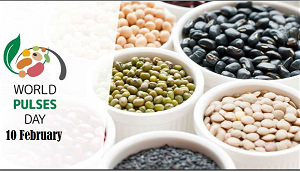 World Pulses Day 2020 was observed on February 10, 2020