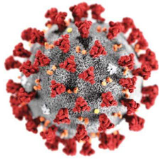 Coronavirus poses ‘very grave’ threat to the world, says WHO