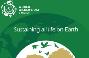 March 3: World Wildlife Day