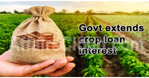 Govt extended upto Rs 3 lakh crop loan interest benefits to farmers till May 31