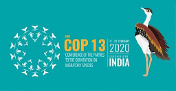 India to host 13th COP of UN’s Conservation of Migratory Species; PM Modi to inaugurate