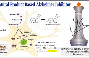 Scientists at JNCASR develop Berberine based Alzheimer inhibitor ‘Ber-D’